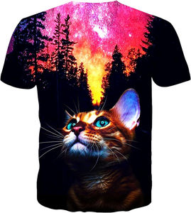 Camisetas para Hombre de Fabricante Directo, 100% Algodón, Colores y Logotipos a Demanda del Cliente, Impresión Profesional en Serigrafía - Product Image 6