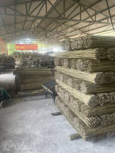 Piquets en bambou OEM | Traitement anti-moisissure personnalisé | Pour l'agriculture et la pépinière - Product Image 3