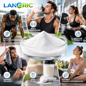 Créatine Monohydrate en Poudre 200 Mesh Pure pour Nutrition Sportive – Vente en Gros OEM ODM – Approvisionnement Direct Usine - Product Image 5