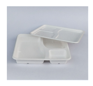 Boîte alimentaire à forte demande, biodégradable, recyclable, jetable, en bagasse de canne à sucre, étanche - Product Image 3