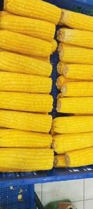Maíz congelado a granel de Vietnam disponible al por mayor con color de tamaño consistente y dulzura natural - Product Image 6