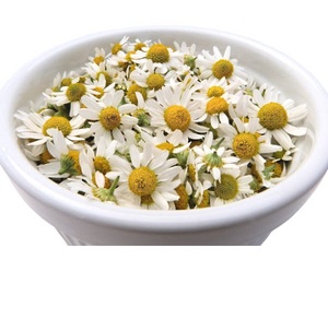 Extrait de camomille à bas prix partie de fleur cultivée sauvage disponible en bouteille en verre Inde - Product Image 3