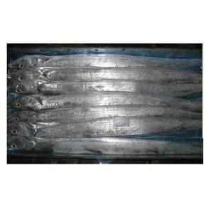 Poisson ruban entier frais congelé BQF à vendre - Product Image 1