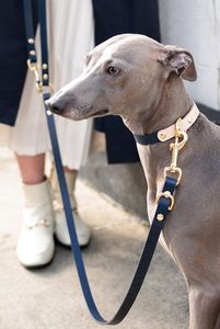 Collar de cuero Howl Craft Elite personalizable nacido para llevar lujo duradero y estilo clásico de Divine International - Product Image 5