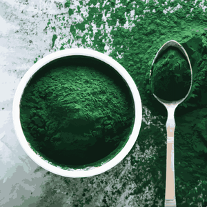 El mejor precio Soluble en agua, sodio, cobre, clorofilina en polvo, polvo de clorofila - Product Image 1