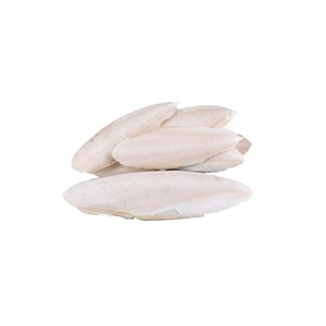 Espinas de sepia naturales para la salud de las aves disponibles a un precio al por mayor - Product Image 2