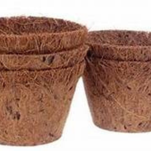 ถ้วยเริ่มต้น Cocogrow ถาดหม้อสินค้าพรีเมียม - Product Image 5