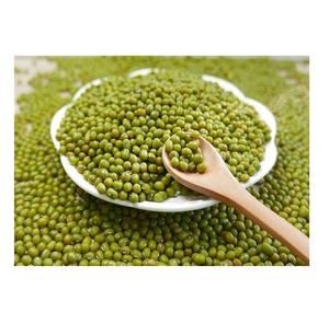 Wholesale Supplier Of Bulk Fresh Stock of Green Mung <b>Beans</b> / Whole Moong <b>Beans</b> - Product Image 5