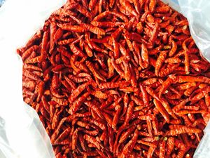 Chile rojo seco Especias Chile Producto superior en Vietnam - Product Image 5