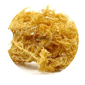 Musgo de mar irlandés de roca salvaje de alta calidad-100% puro todo musgo de mar dorado natural Precio barato de calidad premium de Vietnam - Product Image 1