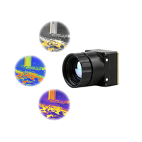 Caméra thermique analogique 384x288 en gros avec conception légère et imagerie LWIR