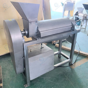 Промышленная соковыжималка-экстрактор для кокосового молока, яблок, лимонов, ананасов из нержавеющей стали 304, модель A01 - Product Image 5