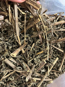 THÉ À LA MENTHE POIVRÉE SÉCHÉ ÉCOLOGIQUE FEUILLE À BASSES D'HERBES DE HAUTE QUALITÉ DU VIETNAM BLEU LOTUS MS AMELIA + 84855014447 - Product Image 6