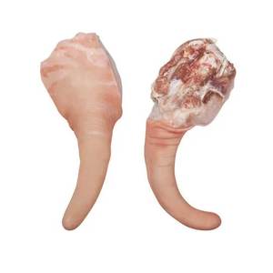 Queue de porc congelée en boîte de 10 kg, marque SAAGA, queue de porc de qualité supérieure, en vente près de chez moi - Product Image 2