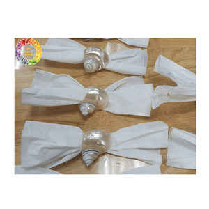 Coquillage élégant Turbo Burgess pour décor-Coquillages naturels du Vietnam, différentes tailles, qualité d'exportation, prêt à expédier - Product Image 4