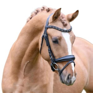 ชุดเดรสหนังสีดำมีแถบคาดคิ้วที่มีแผ่นรองจมูกและที่บังแดดและผลิตภัณฑ์จากแฟลชม้า - Product Image 1