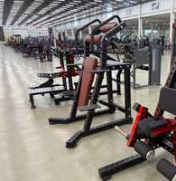 Machine à curls verticaux à charge libre pour l'entraînement des biceps, équipement de gym pour clubs de fitness, vente en gros de l'usine BN Chine