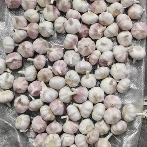 Ail blanc frais de qualité supérieure 6.0cm AUTRICHE Ail blanc pur en gros Achetez maintenant avec livraison rapide - Product Image 5