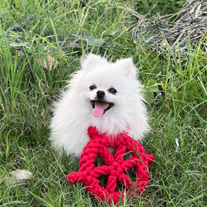 Juguete Interactivo Ecológico para Perros Lucky Red, Clásico y Moderno, Bola Roja de Lujo, Juguete Simple y Elegante para Mascotas, Embalaje en Cartón para Gatos - Product Image 3