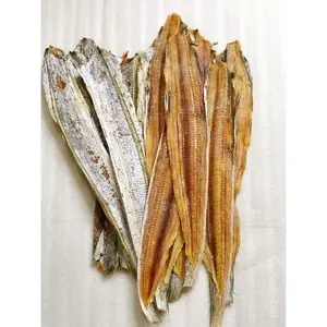 Budget natural dried largehead hairtail fish from Vietnamese supplier