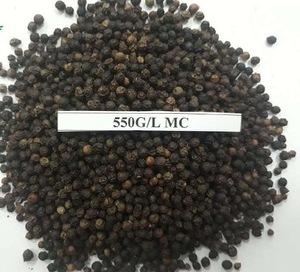 Vente en gros de poivre noir à épices simples poivre noir séché du Vietnam poivre noir - Product Image 5