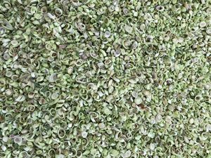 CITRONELLE EN TRANCHES SÉCHÉE DE QUALITÉ SUPÉRIEURE NATURELLE, HERBES AROMATIQUES POUR LA CUISSON, LES THÉS ET L'ASSAISONNEMENT - Product Image 4
