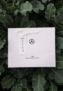 Sacs de transport d'art en papier recyclé de marque personnalisée Logo Bio-Safe imprimé 11X7.5X3 pouces Sacs à provisions pour la germination des plantes - Product Image 3