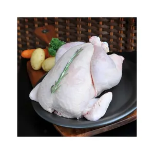 Halal Frozen whole chicken Clean whole frozen chicken for sale /chicken paw /chicken feet