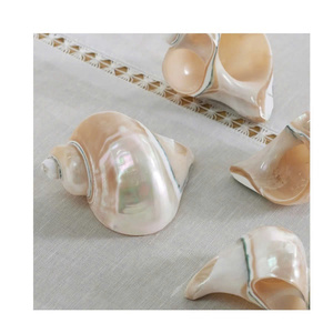 Anillo para Servilletas con Diseño de Concha Marina, Elegante Porta Servilletas para Decoración de Mesa con Temática de Playa, Anillo para Servilletas con Concha Marina para Decoración de Eventos y Bodas - Product Image 2