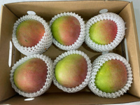 Hoge Kwaliteit Zoete Smaak Natuurlijke Verse Mango (Australië) Gemaakt In Vietnam Goedkope Prijs En Non Gmo Grade 1 Ws + 84931615449
