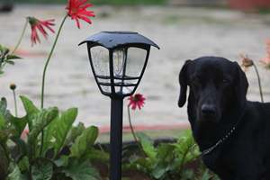 Lampadaire solaire 20Watt 20W tout-en-un, lampe étanche d'extérieur à LED pour la maison, le jardin, solution écologique - Product Image 2