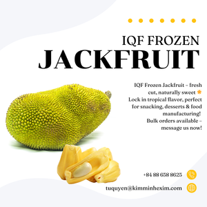 ขนุนแช่แข็งคุณภาพการส่งออกระดับพรีเมียมจากเวียดนามสำหรับผู้ผลิตอาหารผู้ค้าส่งและผู้นำเข้าทั่วโลก - Product Image 6