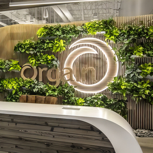 Company 3D Wall Moss Letters Office Sign Interiors Vertical Moss Art Natural Decor Logo Sign para negocios - Product Image 2