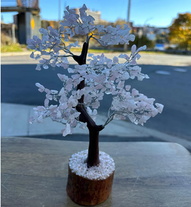 En vrac naturel Rose Quartz cristal arbre pierres précieuses arbre de vie Figurine pour l'amour guérison énergie positive Feng Shui décor à vendre - Product Image 5