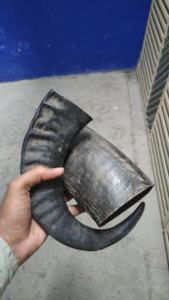 Snacks Naturales de Cuerno de Cabra para Perros, Masticables Saludables de Larga Duración para Perros Grandes, Bocadillos Premium Duraderos para Mascotas de la India en oferta - Product Image 3