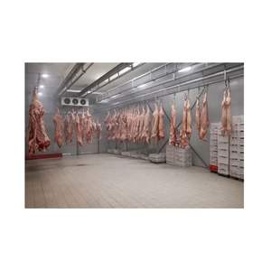 Équipement de stockage frigorifique industriel pour la viande, contrôle de la température (+4C -18C), garantie de 2 ans pour le refroidissement à court terme - Product Image 3