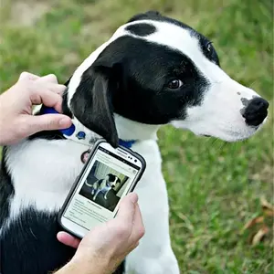 NFC ID Dog Tag unico QR Tag codice dei profili Online Tag portachiavi Id cane per animali domestici