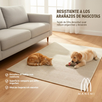 Alfombra Moderna Manemi de Tejido Plano Chevron, Polipropileno, Pelo Fino, Rectangular, Antideslizante con Base de Goma, Lavable, para Sala de Estar