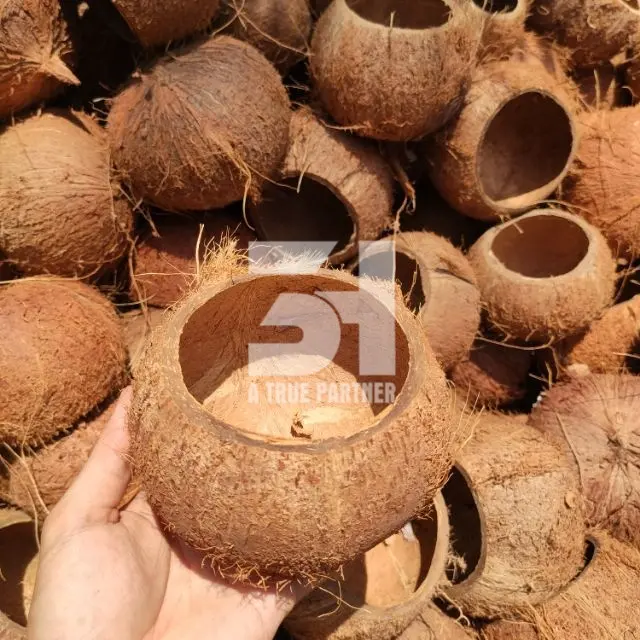 Produk Vietnam Batok Kelapa Mentah Dalam Jumlah Besar dengan Harga Murah dan Siap Kirim