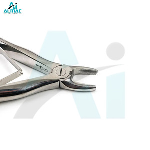 ALMAC Lot de 10 pinces manuelles en acier inoxydable pour l'extraction des dents, poignée ergonomique pour instruments de chirurgie dentaire pour adultes - Product Image 6