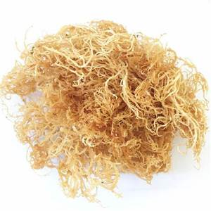 สาหร่ายขาวธรรมชาติอบแห้งจากเวียดนาม: คุณภาพสูง พร้อมส่งออก และราคาไม่แพง - Product Image 4