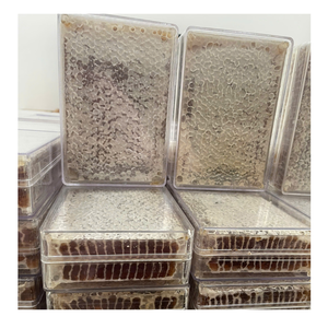 Peine de miel de Vietnam crudo de primera calidad con enzimas, panal de miel dorado dulce, aumenta la energía, apoya el intestino saludable y el sistema inmunológico a granel - Product Image 1