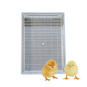 Rollo de suelo de listón de plástico de buena calidad, nuevo diseño para equipos de cría de aves de corral, personalización, fabricante de Vietnam - Product Image 2