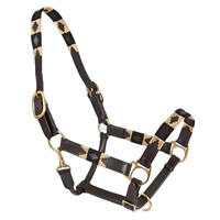 Harnais de cheval professionnel de qualité supérieure pour l'équitation en plein air, réglable, en PP durable, personnalisable en plusieurs couleurs, acceptant la personnalisation pour les chevaux