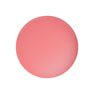 เจลสีทาเล็บ CE890 Presto Gel Color EX สีสตรอว์เบอร์รีอ่อน สำหรับใช้ในร้านทำเล็บ สไตล์ฝรั่งเศส บรรจุขวดพร้อมใช้งาน ใช้กับหลอดไฟ LED - Product Image 2