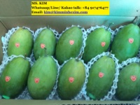 Export verse mango's 8kg/doos, ISO gecertificeerd, kwaliteit A, Vietnam oorsprong, met voordelige prijs. HP 0084 917 476 477