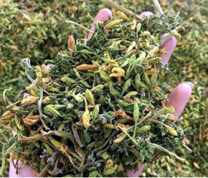 Fleurs de papaye séchées-Un ingrédient traditionnel pour des recettes uniques - Product Image 2