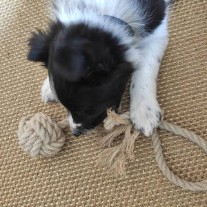 Juguete Resistente de Cáñamo para Perros, Combate el Aburrimiento y Ayuda a Ajustarse a Nuevos Entornos, de Vietnam HOANG LINH SG - Product Image 6