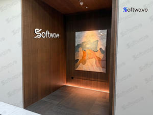 Softwave se centra en servicios de software de alta gama y proporciona guía de instalación profesional. - Product Image 2