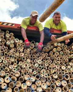 Postes de bambú al por mayor para muebles y construcción | Vifarmex Vietnam Factory Export Supplier - Product Image 2